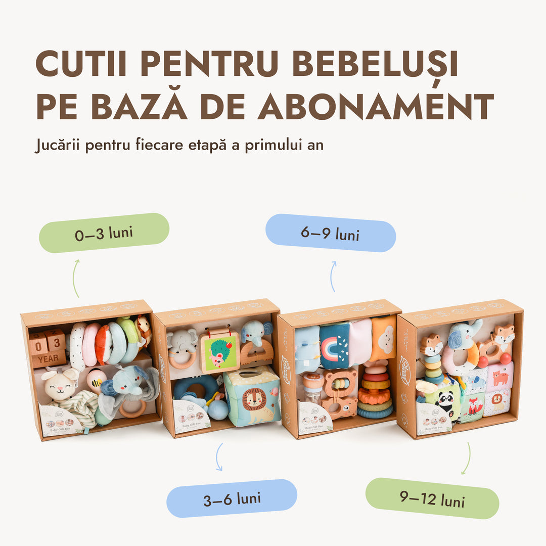 BabyBox — Kituri de joacă pentru primul an (0–12 luni)